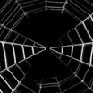 Video loops - Halloween pack 1