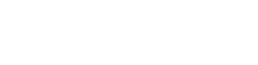 Logo Waves - white